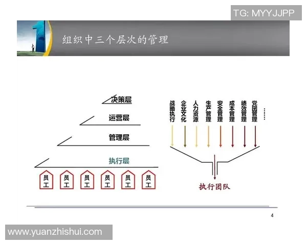 独家解析V5团队协作模式与其他战队的对比分析实时新闻
